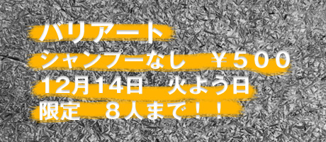 バリアート　シャンプーなし　￥５００ 12月14日　火よう日　限定　８人まで！！